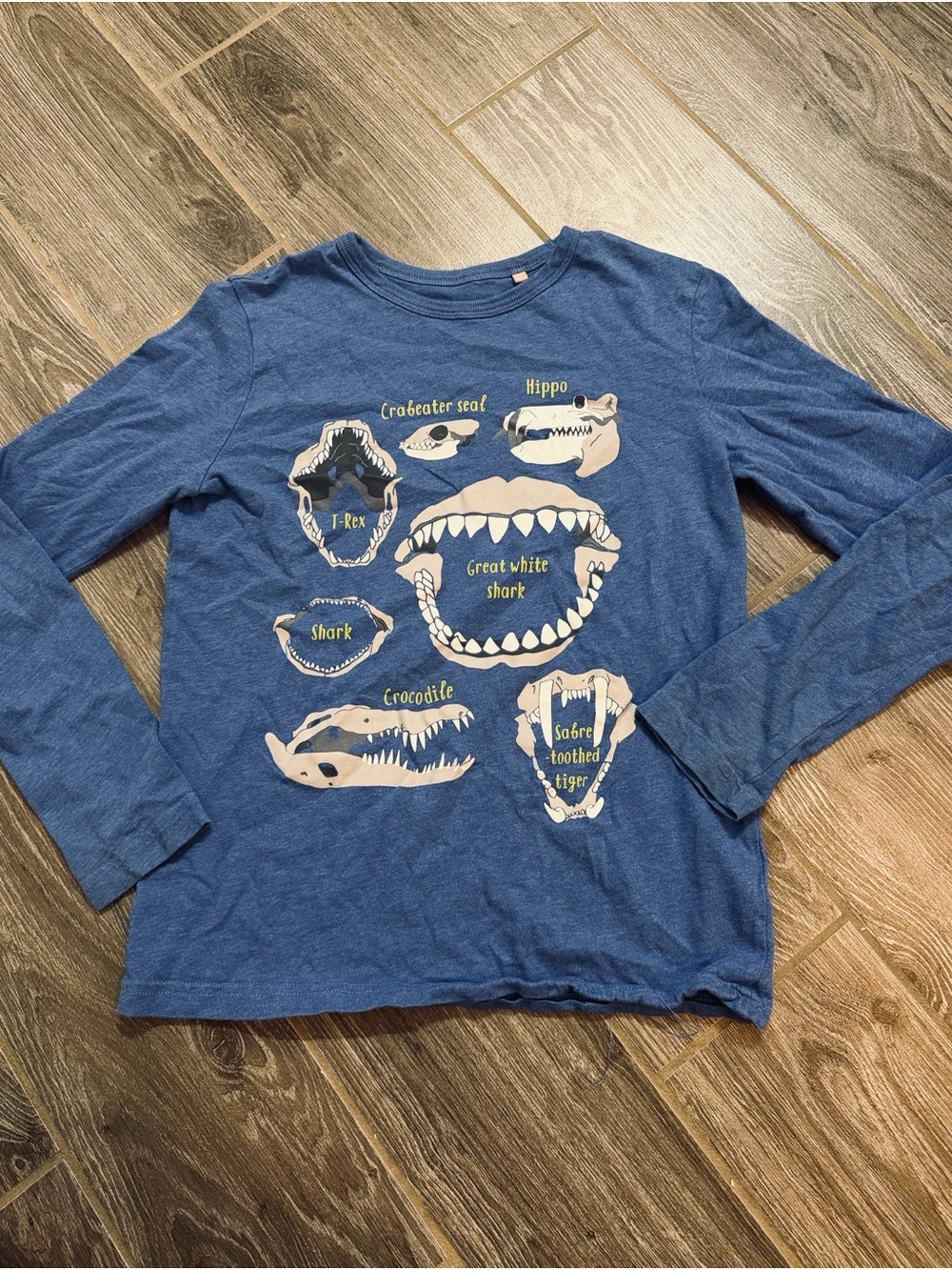 Boys Mini Boden Blue fossils skulls vinyl printed longsleeve tee 11 12